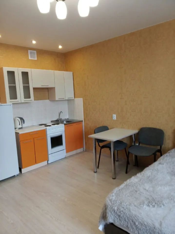Студия в аренду, Красный просп. 179/1 — 30 000 ₽/мес